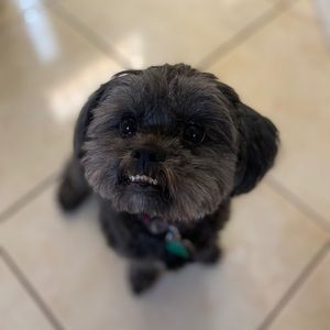 Meet your Posher, Keren